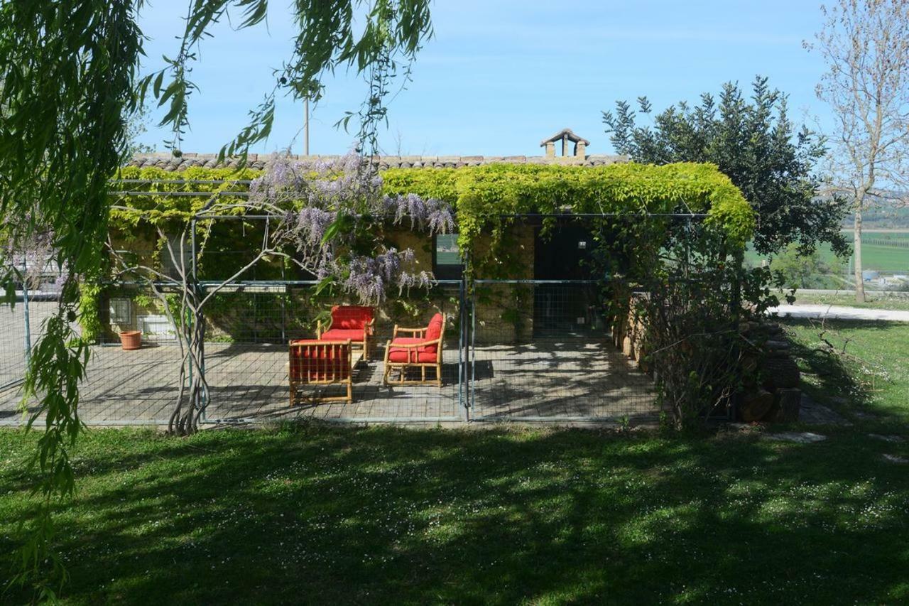 Casa Nenella Villa Corridonia Dış mekan fotoğraf